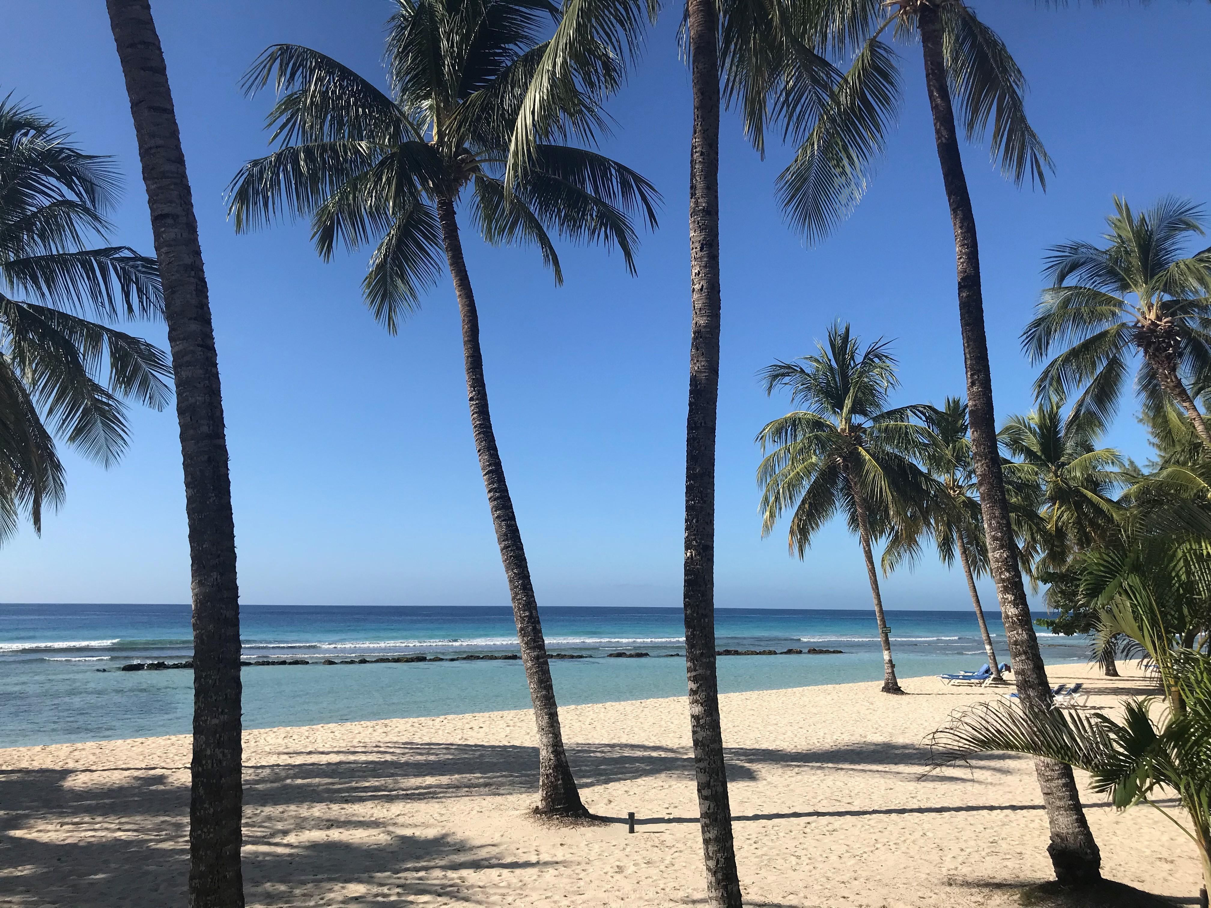 Coconut Court Beach Hotel Κράιστ Τσερτς Εξωτερικό φωτογραφία