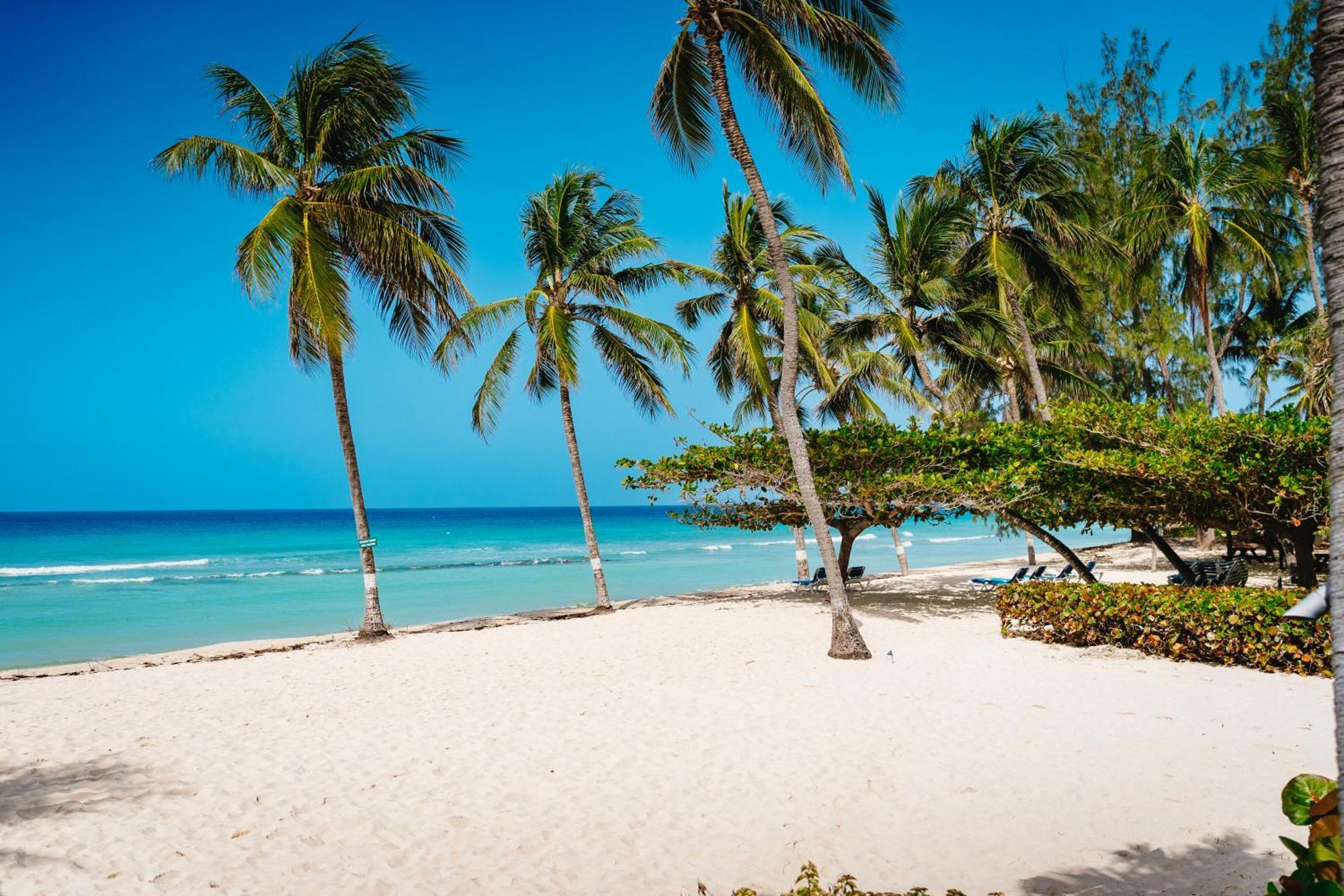 Coconut Court Beach Hotel Κράιστ Τσερτς Εξωτερικό φωτογραφία